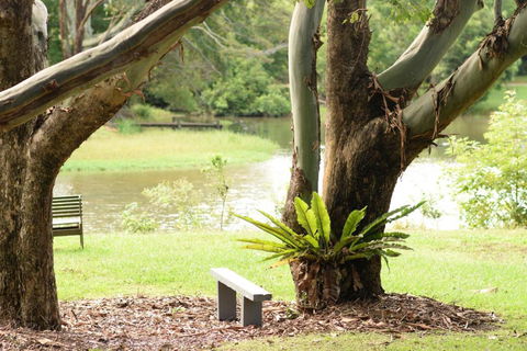 McCarthy Lake House - Kempsey Accommodation 4