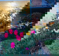 The Vines Motel and Cottages - Kempsey Accommodation