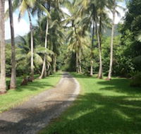 Cape Trib Farmstay - Kempsey Accommodation
