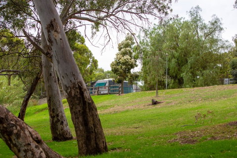 Windsor Gardens Caravan Park - Kempsey Accommodation 0