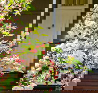 Apple Blossom Cottage - Kempsey Accommodation