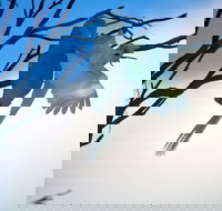 Tenterfield Cottage Holiday House - Kempsey Accommodation