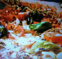 Alfio's Pizzeria - Kempsey Accommodation