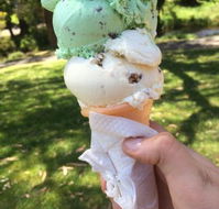The Rainbow Ice Cream Shop - Kempsey Accommodation