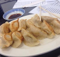 Dum Dum Dumplings - Kempsey Accommodation
