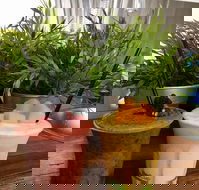 Brighton St - Takeaway