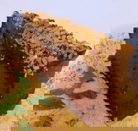 The Terrace Restaurant