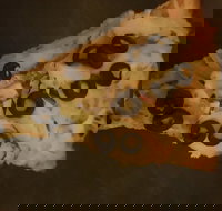 Zannies Pizzas - Kempsey Accommodation