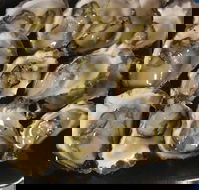 Armstrongs Oysters - Kempsey Accommodation