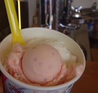 Bermagui Gelati Clinic - Kempsey Accommodation