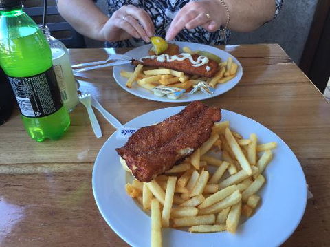 Fishy Fishy - Kempsey Accommodation 0