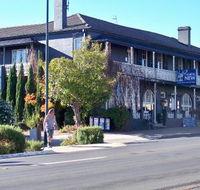 Coachwood  Cedar Motor Hotel Restaurant - Kempsey Accommodation