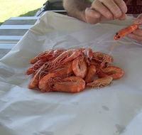 Ballina Fishermen's Co-op - Kempsey Accommodation