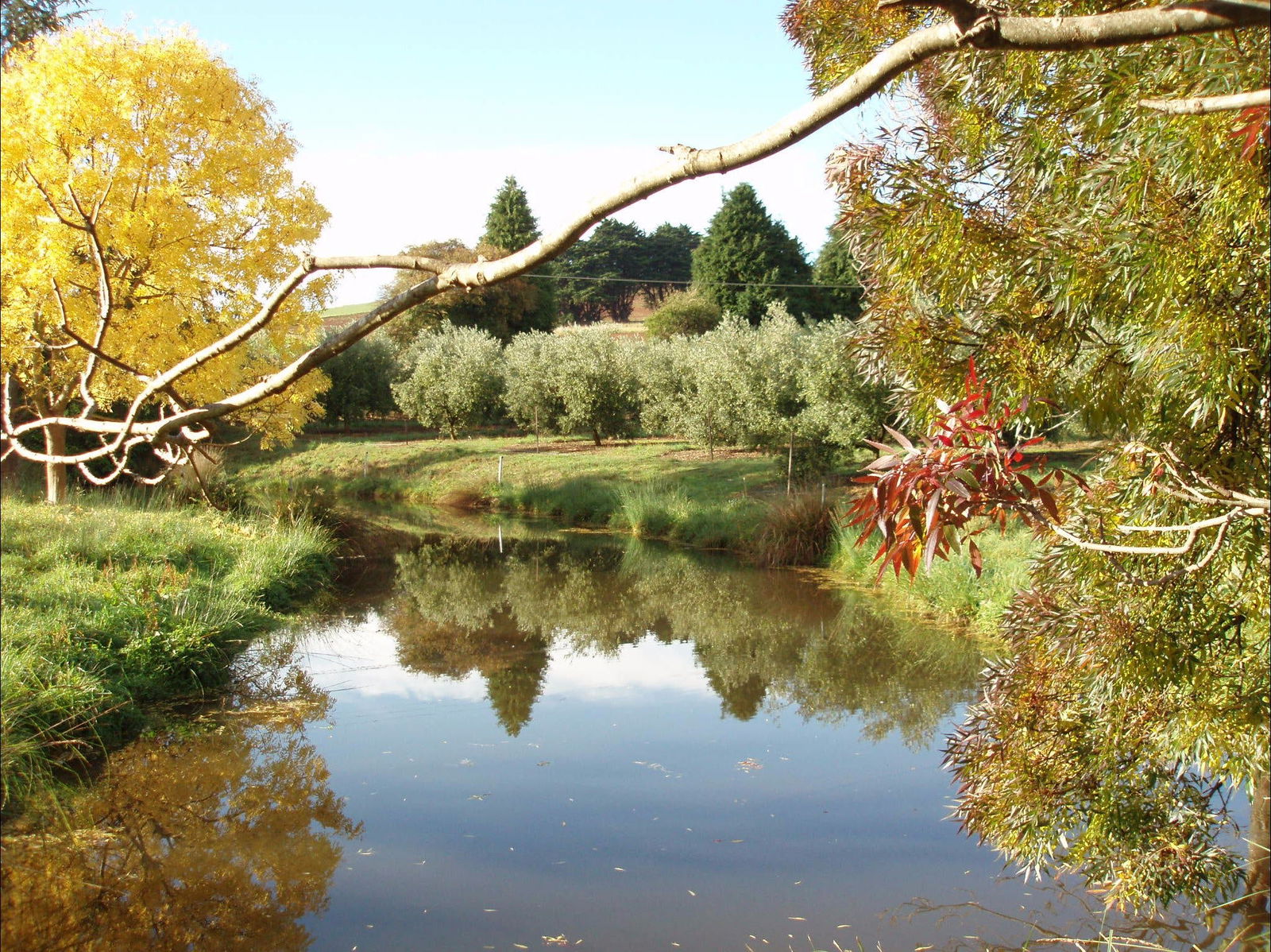 Upper Castra TAS Kempsey Accommodation