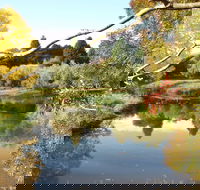 Cradle Coast Olives - Kempsey Accommodation