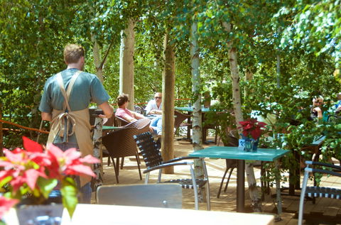 Mr Grubb @ Oakdene - Kempsey Accommodation 0