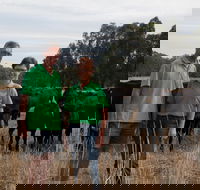 Milawa Organic Beef - Kempsey Accommodation
