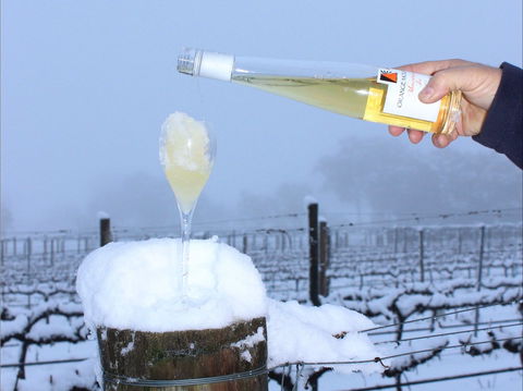Orange Mountain Wines - Kempsey Accommodation 1