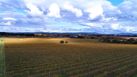 Schubert Estate - Kempsey Accommodation 0