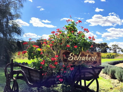 Schubert Estate - Kempsey Accommodation 2