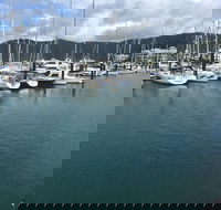 Whitsunday Sailing Club - Kempsey Accommodation