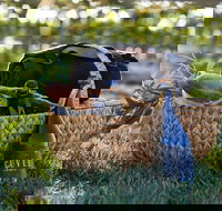 Rowlee Wines Picnic Hamper - Kempsey Accommodation