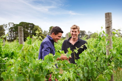 Shadowfax Winery - Kempsey Accommodation 1