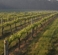 Cape Grace Wines - Kempsey Accommodation