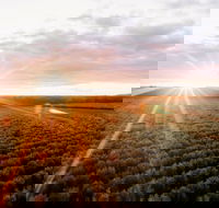 Rich Glen Olive Farm - Kempsey Accommodation
