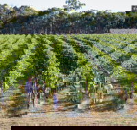 Weathercraft Wines - Kempsey Accommodation