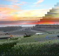 Cape Bernier Vineyard - Kempsey Accommodation
