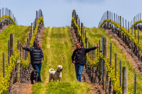 Tim Adams Wines - Kempsey Accommodation 2