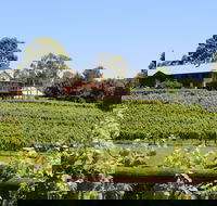 djinta djinta Winery - Kempsey Accommodation