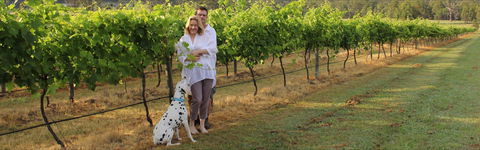 Greenway Wines - Kempsey Accommodation 1