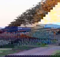 Rowlee Wines - Kempsey Accommodation