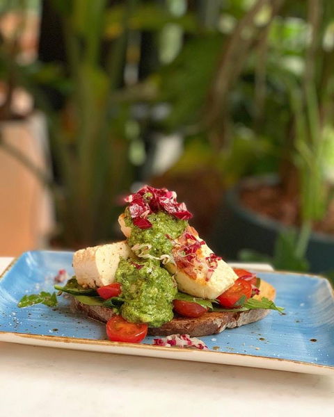 Green Moustache - Kempsey Accommodation 0