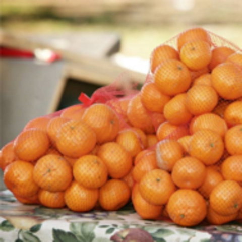 Mathoura Mandarins - Kempsey Accommodation 0