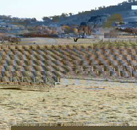 Patina Wines - Kempsey Accommodation