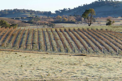 Patina Wines - Kempsey Accommodation 0