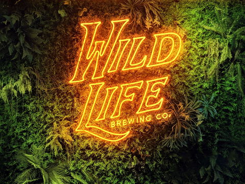 Wild Life Brewing Co. - Kempsey Accommodation 0