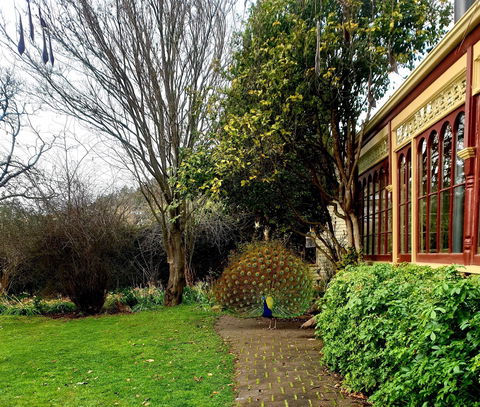 Glen Derwent Tea Rooms - Kempsey Accommodation 0