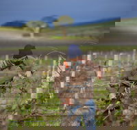 Kurtz Family Vineyards - Kempsey Accommodation