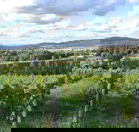 Sassy Wines - Kempsey Accommodation