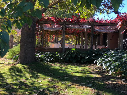 The Pressing Shed Cafe & Restaurant At Nullamunjie Olive Groves - Kempsey Accommodation 1