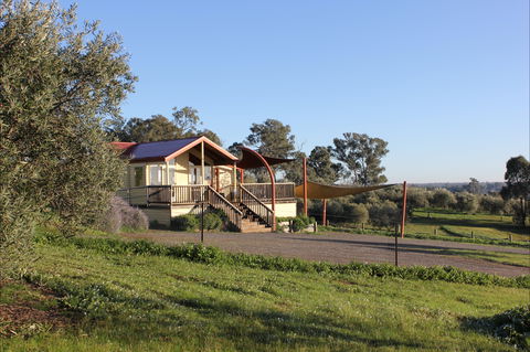 Gooramadda Olives - Kempsey Accommodation 1