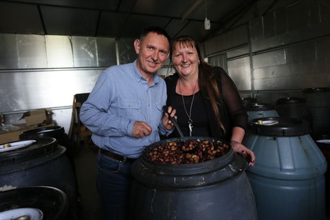 Gooramadda Olives - Kempsey Accommodation 2