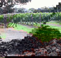 Spring Vale Vineyard - Kempsey Accommodation