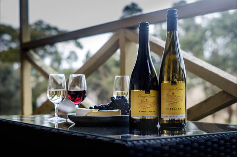 Craigie Knowe Vineyard & Cellar Door - Kempsey Accommodation 1