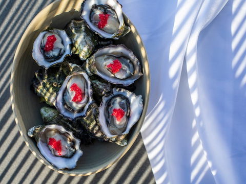 The Rocks - Restaurant, Bar, Pool Club - Kempsey Accommodation 1