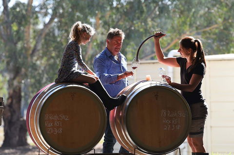 Warrabilla Wines - Kempsey Accommodation 1